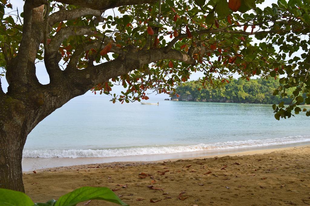 Kaz Kreol Beach Hotel Ocho Rios Esterno foto