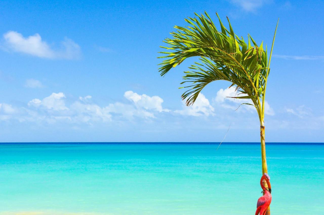 Kaz Kreol Beach Hotel Ocho Rios Esterno foto